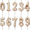 Feelairy 10 Stücke Geburtstagskuchen Kerzen Zahlen, Geburtstag Zahl Kerzen Nummer Kerze 0-9 Glitter Cake Topper Alles Gute zum Geburtstag Kuchen Topper für Geburtstagtorte Kuchen Party (Champagner)
