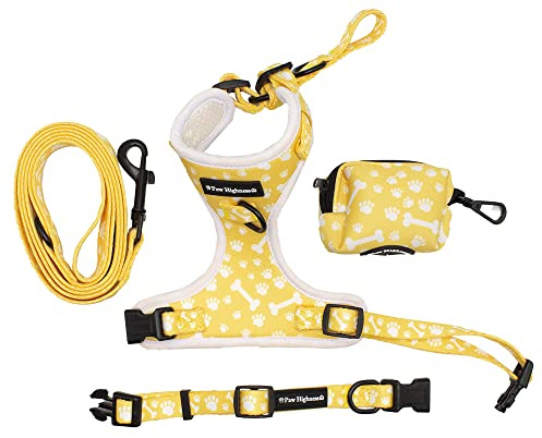 Paw Highness Dog Walking Harness, Collar, Leash & Poo Bag Holder Set in Paw and Bone Extra Small