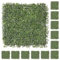 LOLAhome Jardín Vertical Artificial Estilo Boj Natural | 3 m2: 12 Paneles de 50x50 cm | PVC: 5 años protección UV | Realista y Elegante, Fácil instalación | para Interior y Exterior | Jardín Vertical