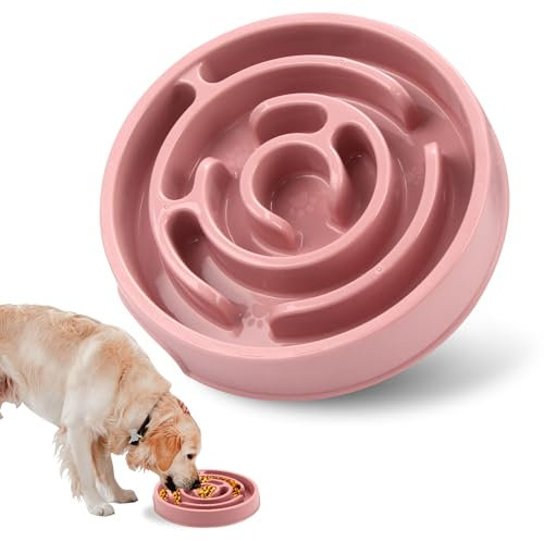 Gamelle pour Chien, Gamelle Anti Glouton Chien Moyen Anti Glouton, Gamelle Chat Anti