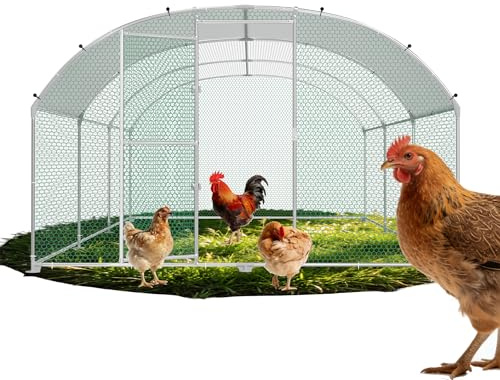 QEENTOE Bogendach Hühnerhaus 3x6x2m verzinkter Stahl mit PE Schutzdach | Sicherheitsverschluss an der Tür verhindert Ausbruch und Eindringen von Raubtieren