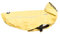 CHIARA SCOTTY Regenjacke mit Geschirr CHJ-Y1811YE-S-CHIARA-Regenmantel, Regencape (Größe: S, Material: 100 % Polyester, sportlich, wasserdicht, innen liegendes Geschirr), Gelb