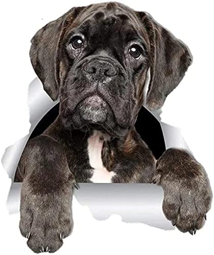 Autoaufkleber 13 Cm X 10,9 Cm Niedlicher 3D-Boxer-Hunde-Autoaufkleber Für Toilette, Kühlschrank, Küche, Kinderzimmer, Schlafzimmer, Türdekoration(2 Stück)