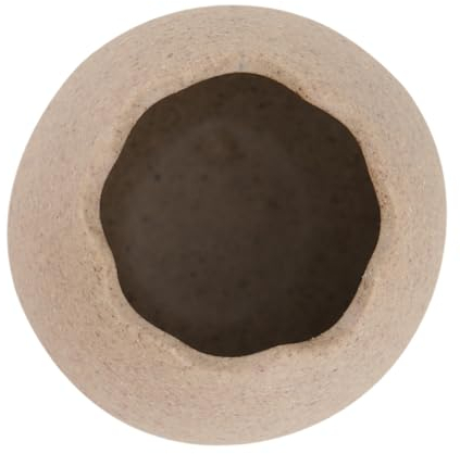 TOPPERFUN Hydroponische dekorative Vase Eierschalenpflanzer Modell mit gebrochener Eierschale schreibtischdeko Blumenvase Süßigkeitenbehälter Behälter für Lebensmittel Lebensmittelbehälter