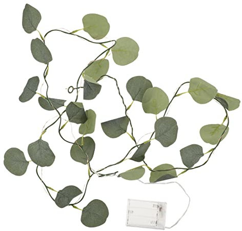 CIMAXIC Eukalyptus Lichterkette Mit 20 LED Kunstblättern Dekorative Lichterkette Für Schlafzimmer Und Innenräume Ideales Licht Für Feierlichkeiten Und Entspannende Atmosphäre