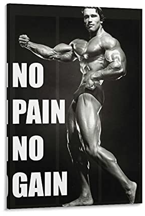 KFMD Poster im Vintage-Stil, Bodybuilding-Poster, Arnold Schwarzenegger, No Pain No Gain, 30 x 45 cm
