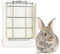 Kikuo Futterstation für Heu (Metallgitter & Plastik), Futterspender für Kaninchen/Chinchillas/Große Meerschweinchen, Näpfe für Haustier & Kleintiere - Weiß