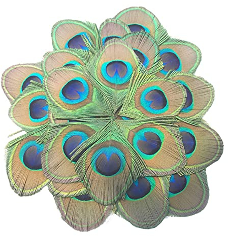 MWOOT 30 Stück Pfauenfedern für Basteln Deko, Pfau Federn für Karnival Weihnachten Dekoration Accessories, DIY Crafts Art Bastelfedern