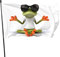Bandera decorativa de 60 x 90 cm, para patio, diseño de rana, para meditación, yoga, rana, bandera de jardín, decoración de bandera colgante (rana 01)