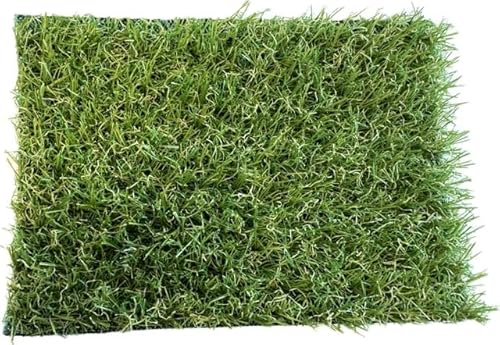 KUNSTRASENWELT - Kunstrasen Flair 518 | Vielseitiger Rollrasen in frischem Grün | Rasenteppich, perfekt für Garten, Terrasse, Balkon & Messen | Kunstrasen mit 18mm Höhe; Größe: 1m x 2m