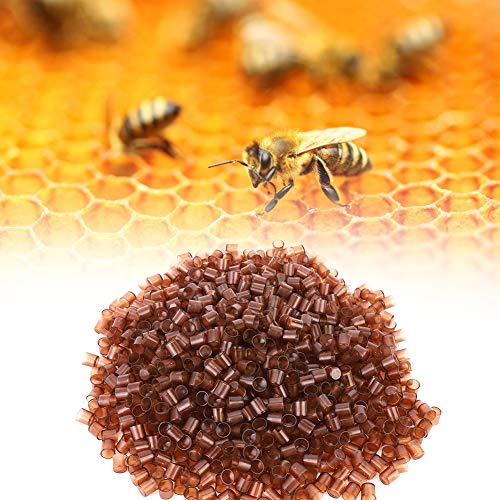 Cikonielf 1000 Pezzi Tazze per Coltura Tazze per Cellule Set di Utensili per sistemi Queen Breeding System Strumenti per Accessori per Queen Breeding Tool Attrezzature per