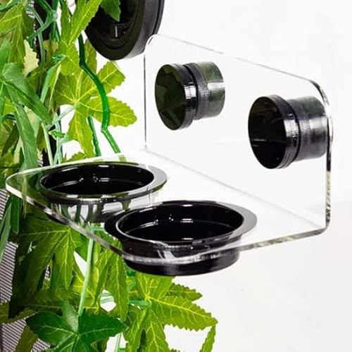 ReptiZoo Doppel-Futterstation magnetisch transparent 15 x 8 x 6,2 cm