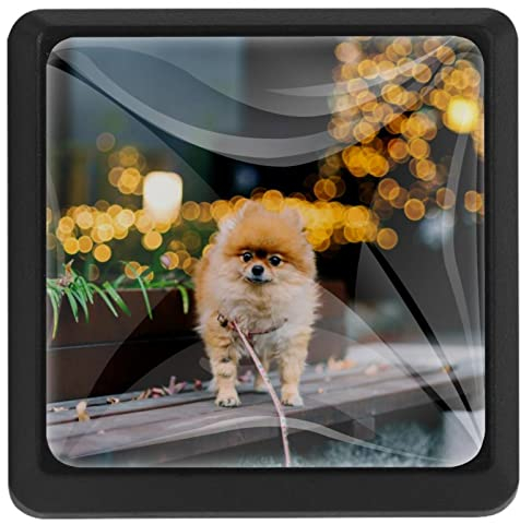 BUJOJUB Hund auf Bank, 3 Stück Schubladenknöpfe, Schubladengriffe, Schrankknöpfe, Möbelknöpfe, Kommodenknöpfe für Küche Schrank