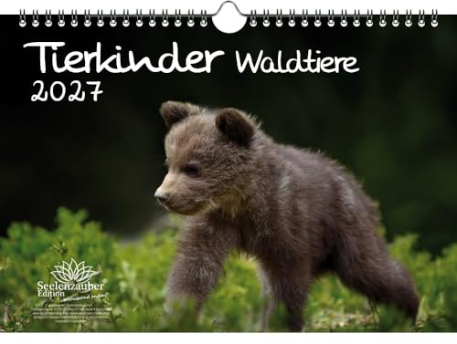 Tierkinder Waldtiere DIN A4 Kalender für 2027 Tiere im Wald - Seelenzauber