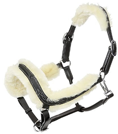 Kavalkade Lederhalfter Ivy, Vollblut | Schwarz