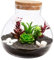 Supvox Mikrolandschaft Glasflasche 15cm x Ökologisches Terrarium Für Pflanzen Runde Glasflasche Mit Korkstopfen Ideal Für DIY Projekte Und Kreative Dekoration