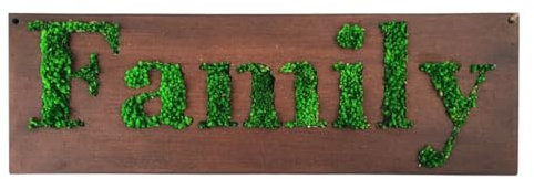 I GIARDINI DI GIULIA | Quadro Decorativo FAMILY in Muschio Stabilizzato | 50x16 cm | Base in Legno Naturale | Design Eco-Friendly per Casa e Ufficio