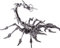 3D Metal Puzzle Model Kit, 3D Metal Scorpion King Model Set DIY Stainless Steel Jigsaw with Tool, 3D Mechanical Metal Puzzle Animal Gift Toy for Adults Kids