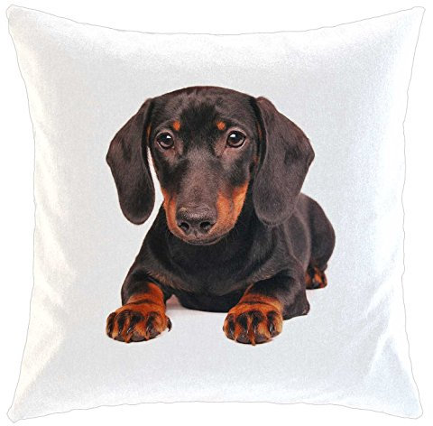 Merchandise for Fans Kissen/weiches Kuschelkissen mit Füllung 40x40cm - Motiv: Dackel/Teckel - Glatthaardackel | 014-06