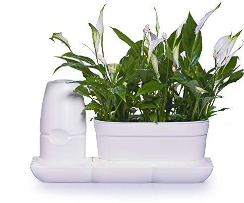 minigarden Basic S UNO, innovatives Starterset für einfachste Pflanzenpflege; ausgestattet mit automatischem Bewässerungs- und Düngesystem; ideal zum Aufstellen auf Fensterbänken und Tischen (Weiß)