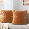 MAIXUN Kissenbezug 40x40 Samt Braun Deko Kissen Wohnzimmer Golden Strip Decoration Sofakissen Weich Couchkissen Zierkissenbezug für Wohnzimmer Schlafzimmer Büro Auto Sofa Zuhause 2er Set