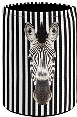 Kuiaobaty 3D Zebra Print Women Makeup Brush Holder Black White Stripes Pencil Holder Round Pen Pot Office Desktop Storage Holder