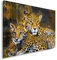Feeby Frames, Leinwandbild, Bilder, Wand Bild, Wandbilder, Kunstdruck 40x50cm, LEOPARD, JAGUAR, NATUR, TIERE