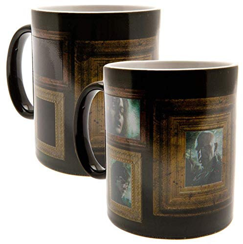 GB eye Harry Potter Portraits Heat Change Mug