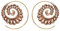 81stgeneration Frauen Messing Kupfer Filigrane Pfauenfedern Creolen Spiral Einfädler Ohrringe