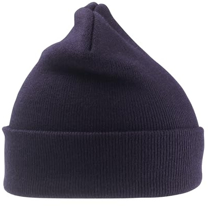 Recycled Thinsulate Beanie