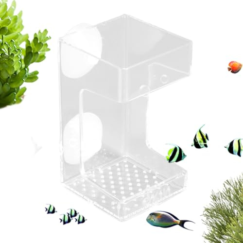 Fischfutter – PP, 3,74 x 2,13 x 2,13 Zoll, Aquarium Suction Cup Feeding Bowl | Clear Fish Tank Food Dish, Aquarium Feeder für Zuhause, Büro, Turtle, Tetras, Betta, Shrimp, Saltwater, Freshwater