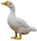 Fenteer Gefiederter Vogel Realistische Garten Ornament Home Decor Statuen Patio DIY, Gans