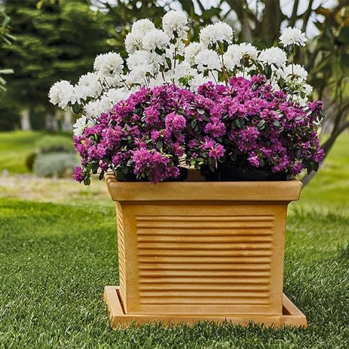 Decorspace Vase carré en résine pour extérieur « Made in Italy » (40 cm, terre cuite)