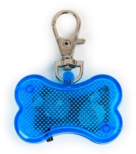 Dog I.D Tag Blau Jungen Led Bone Light Up Blinkendes Halsband Haustier Identifikation Anhänger und Karabiner Clip Sicherheitszubehör mit Namen und Adressetikett