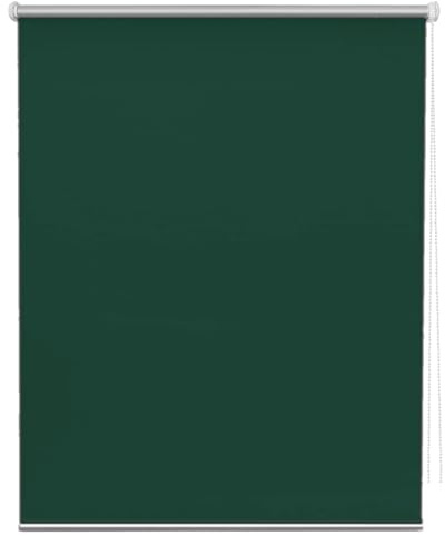 Roller Blinds 50 x 60 cm UV Protection Thermal Blinds Curtains Blackout Shades with Fittings No Drill for Bedroom Living Room Bathroom, Dark Green