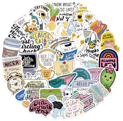 100 PCS Funny Sarcastic Stickers, Funny Stickers for Adults, Waterproof Vinyl Graffiti Snarky Decals, No Residue, Holographic Snarky Meme Sticker for Car,Laptop,Skateboard,Bicycle,Moped,Bicycle