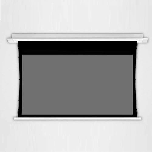 ZenSeFarin Pantalla De Proyección 3D Profesional De Voltaje Eléctrico para Techo, Tela Gris Plata, Ideal para Cine En Casa Y Presentaciones.,150inch