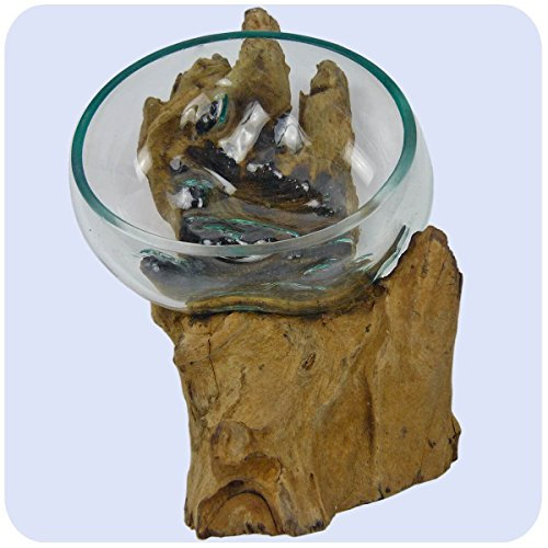 Wurzelholz Glas-Vase Wurzel-Vase Deko-Glas Geschenk Unikat Objekt Design Blumenvase Schale