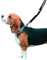 Kumfi Canine Kumfi Complete Control Lead M
