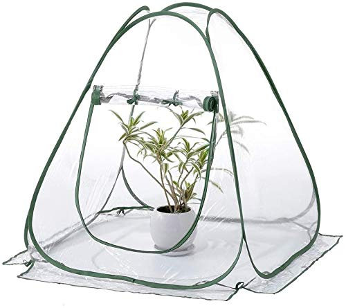 Greenhouse Accessories Mini Pop-up, Transparent PVC Waterproof Cover, Used To Protect Plants Protected From Dust/wind And Rain/birds LQHZWYC