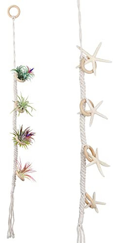 MISNODE Porta piante da appendere, realizzato a mano, corda tillandsia intrecciata per piante, divisorio, corda di cotone per vasi di fiori
