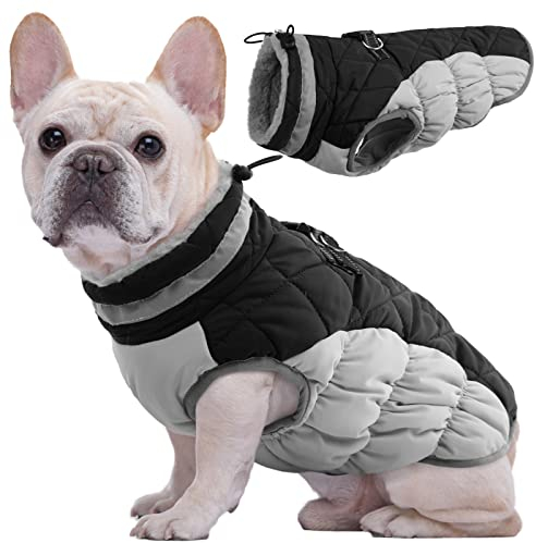Kuoser Hundejacke Hundemantel für Kleine Hunde Winterweste, Wasserdicht Hunde Wintermantel Jacke Winter Hunde Mantel Mit Geschirr Warme Winterjacke Hundepullover Haustier Skifahren Kostüm Schwarz, S