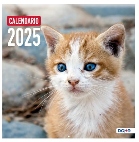 Dohe - Wandkalender 2024 - Heftklammer - Größe: 30x30 cm - Mit Bohrung zum Aufhängen und Planning 2024 - Modell Katzen