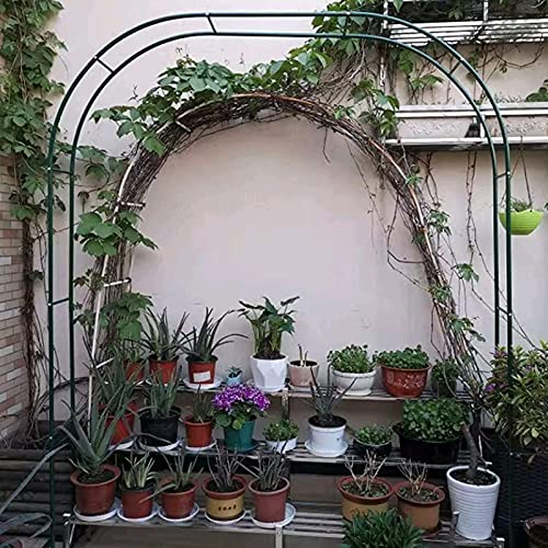 Rosenbogen aus Metal,Gartenbogen Gartenlaube für Kletterpflanzen Clematis, Metall Pergola Rankhilfe Rankgitter Torbogen Rankbogen,Wetterbeständig und freistehend,Spalier,Hochzeit Rasengarten Backyar