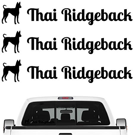 siviwonder Thai Ridgeback Ridge Aufkleber 3er Set Hundeaufkleber Hundemotiv Hund Folie Farbe Schwarz, Größe 20cm