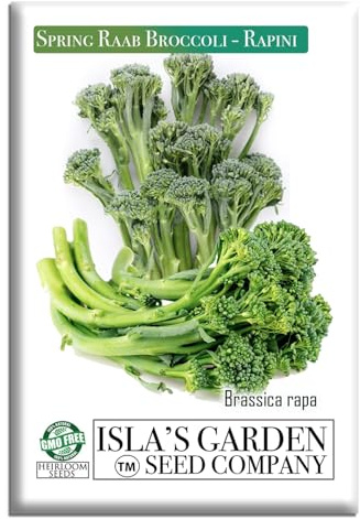 Spring Raab Broccoli Seeds (aka Rabe, Rapini, Broccolini) – 300+ Non-GMO & Heirloom Seeds, Brassica oleracea, Fast-Maturing Cool Season Green, by Isla’s Garden Seeds, Gift Idea for Home Gardens