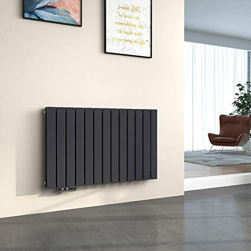 EMKE Radiateur à Eau Chaude Mural Chauffage 63 x 100 cm Radiateur Anthracite Horizontal en Acier Double Couche 1343W Radiateur Salle de Bain
