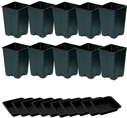 Idroponica Pot carré 3,6L + Soucoupe - 15 x 15 x 20 cm