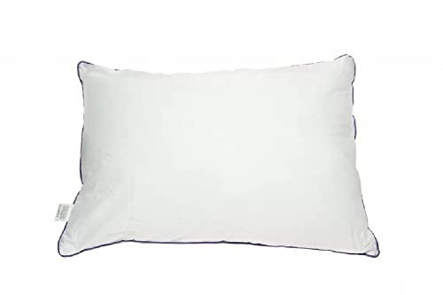 Antar AT52117 Agua Almohada 900g, 60 cm Longitud x 42 cm Anchura x 7 cm Altura