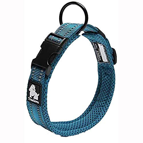 Truelove Hundehalsband, reflektierend, Premium-Duraflex-Schnalle, hochwertiges Nylon-Gurtband, kein Würgen, Basic Halsbänder TLC5011 (Blau, L)